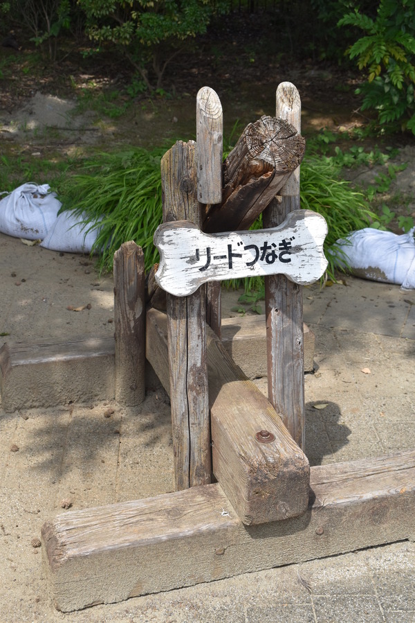 夏のフレームアームズ・ガール聖地巡礼 (7)