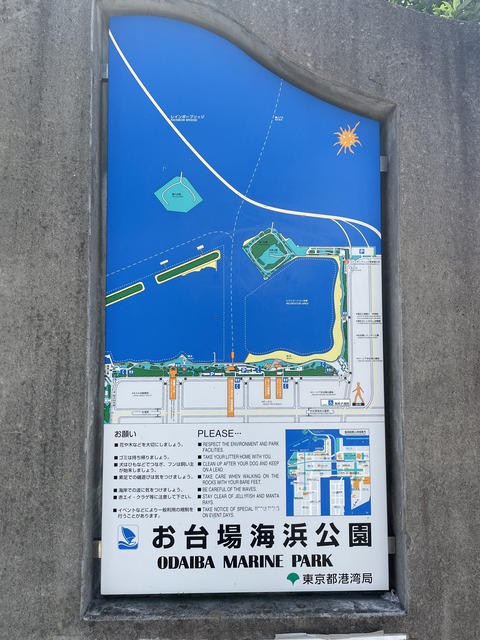 ��������� (56)