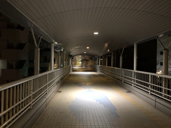 突発呉旅 (22)