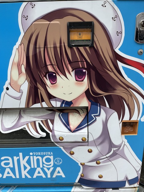 ���ܲ쥫�졼 (8)_
