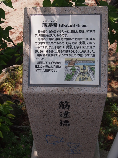 一畑電車と松江城 (49)