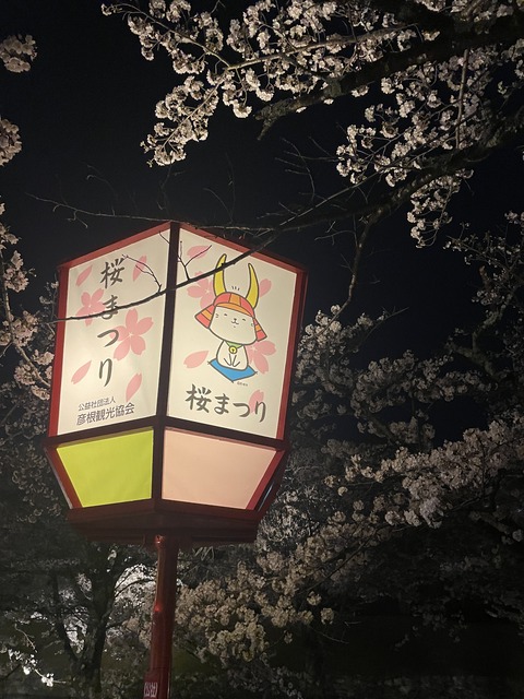 彦根城 (7)