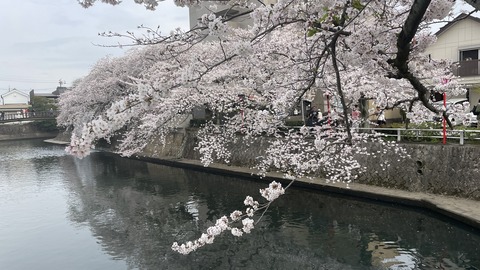 大垣 (16)