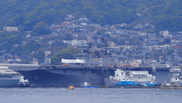 倉島岸壁で望遠レンズテスト (11)