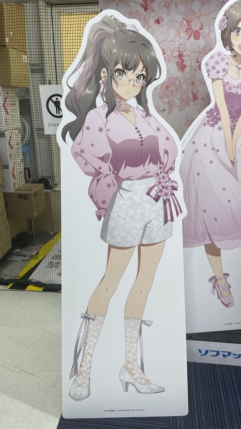 �ӥå�������ĥ֥������ (5)