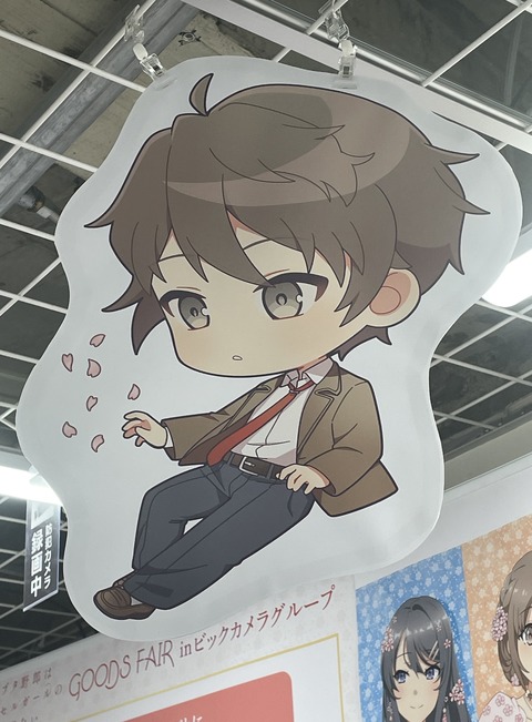 �ӥå�������ĥ֥������ (28)