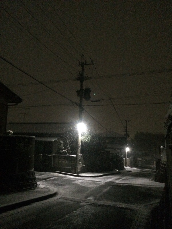 e1573078.jpg