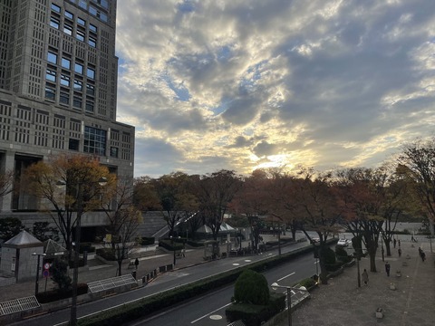 ���ɽ��ո��� (16)_