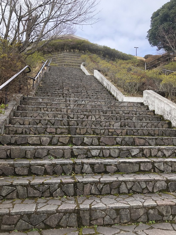 霧島ラリー (28)