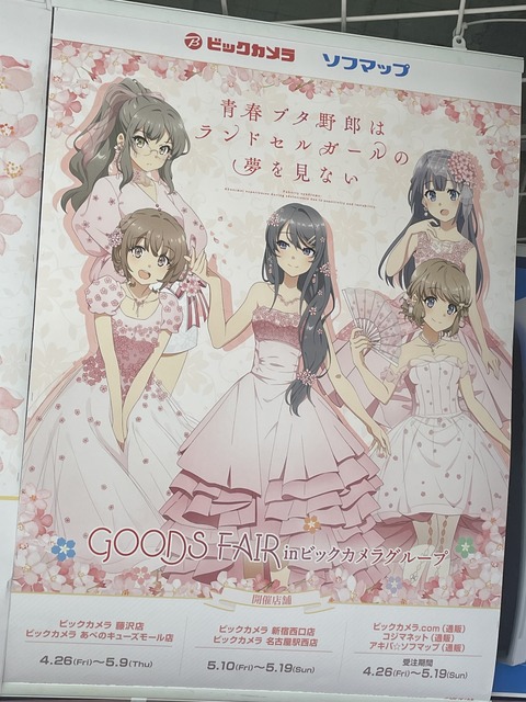 �ӥå�������ĥ֥������ (16)