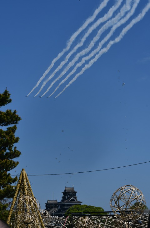 DSC_6642