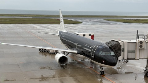 ����ؤΥե饤�� (2)