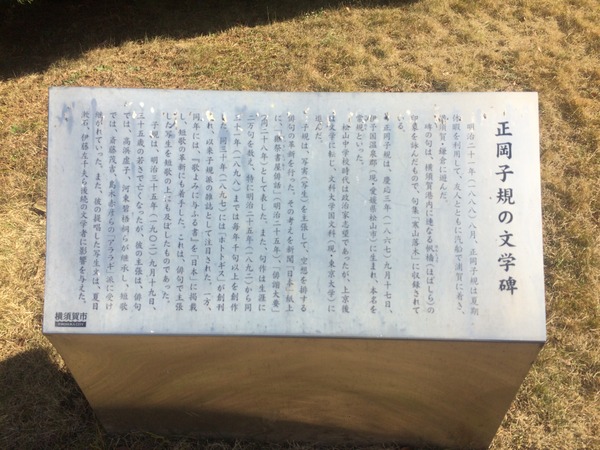 横須賀護衛艦WC編 (11)