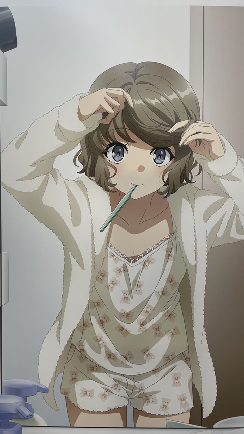 ���ĥ֥��˥��ɥ��륬����ƣ�� (68)