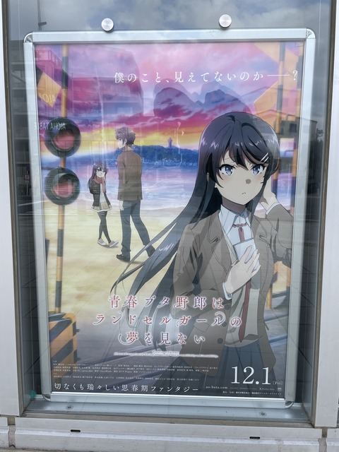 ���ĥ֥��˥��ɥ��륬����ƣ�� (16)