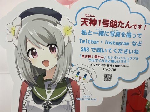 �ĥ֥�Ÿ��ŷ������³�� (16)