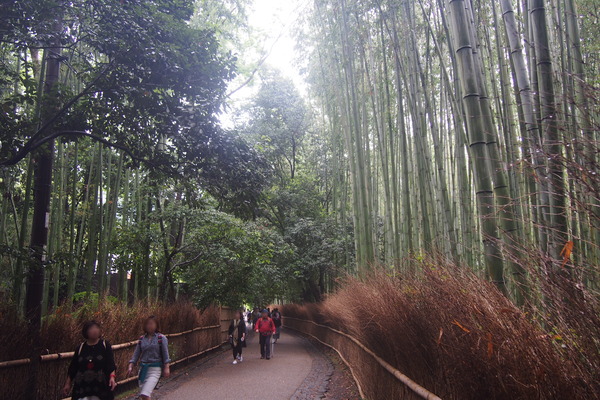 鉄道むすめ巡り2015京旅(4)嵐山散策編編 (18)