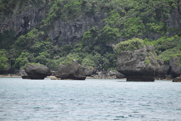 e9d383d7.jpg