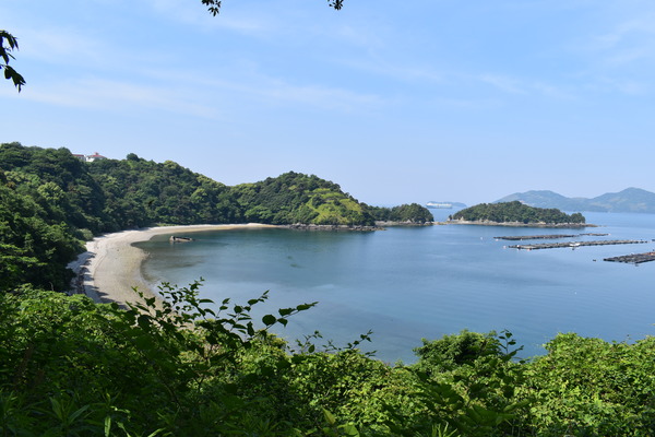 笠戸島のコンクリート船 (21)