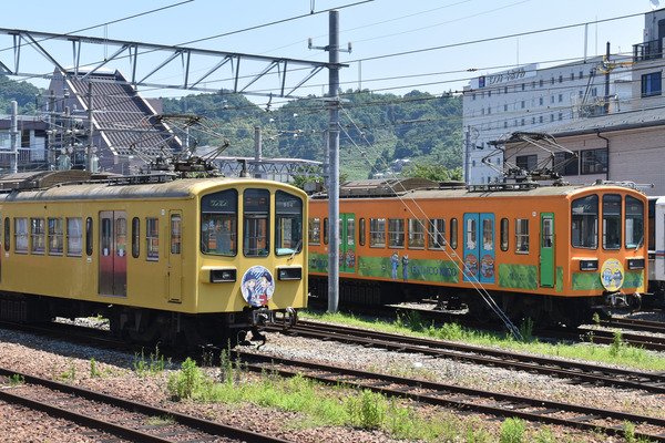 近江鉄道伊豆箱根鉄道コラボHM (3)