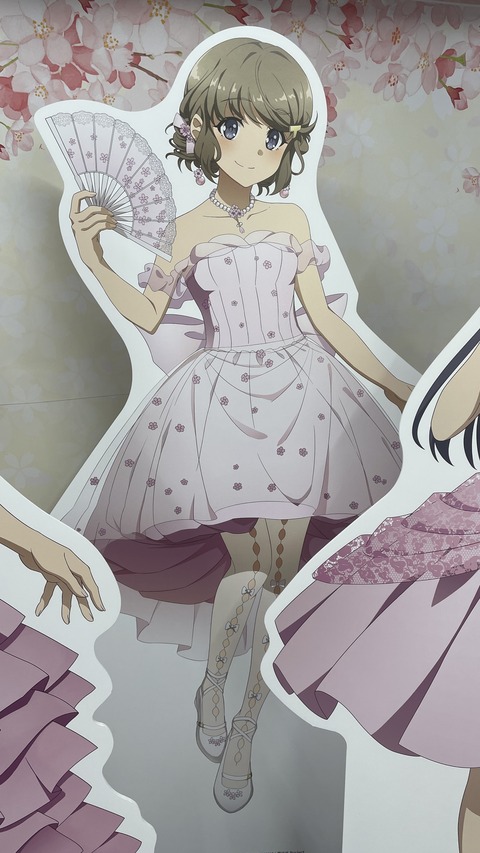 �ӥå�������ĥ֥������ (11)