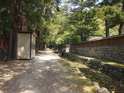 出雲大社いなこん聖地巡礼 (37)
