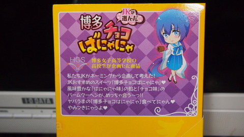 13博多チョコばにゃにゃ(10個入り)