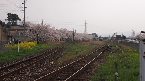 f1a94b16.jpg