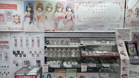 �ӥå�������ĥ֥������ (21)