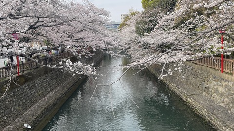 大垣 (10)