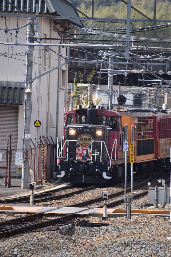 嵯峨ほづきHM (14)