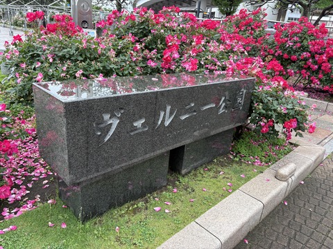 ���β��ܲ컶�� (14)