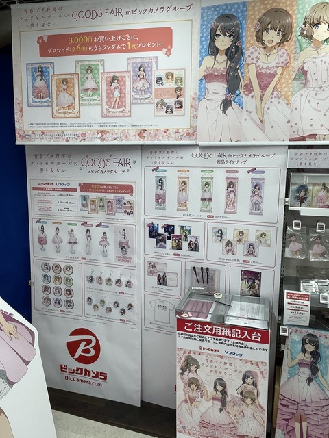 �ӥå�������ĥ֥������ (18)