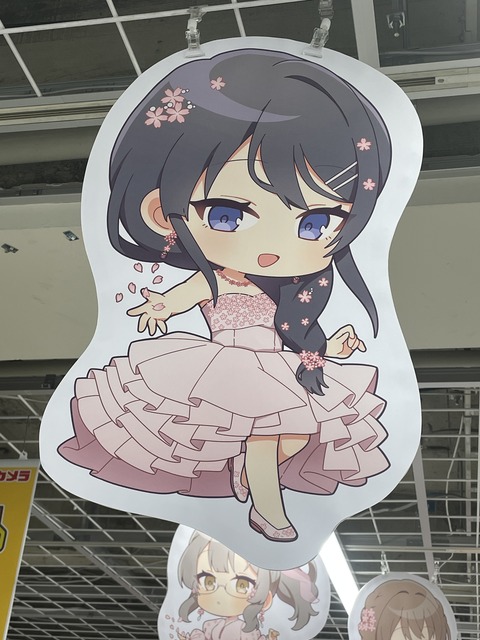 �ӥå�������ĥ֥������ (25)