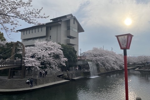 大垣 (18)