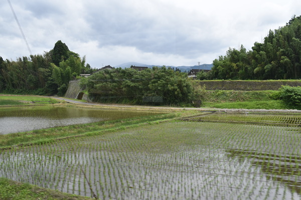 くま川鉄道 (18)
