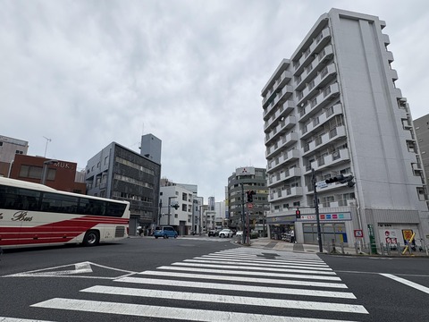 ������ܲ���������� (48)