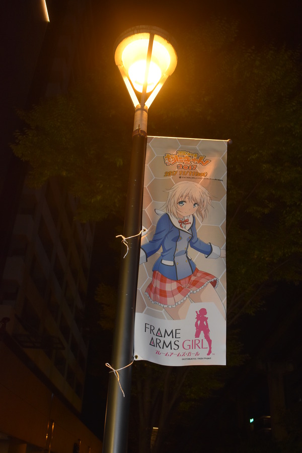 FAガールあにきゃんフラッグ (5)