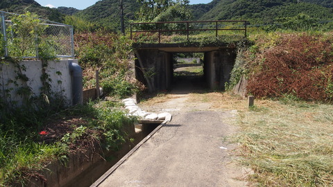 新道寺 (8)