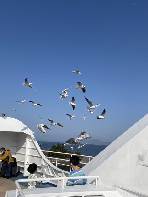 �縶Ŵƻ�ǹԤ���������󥢥�����ι (36)_