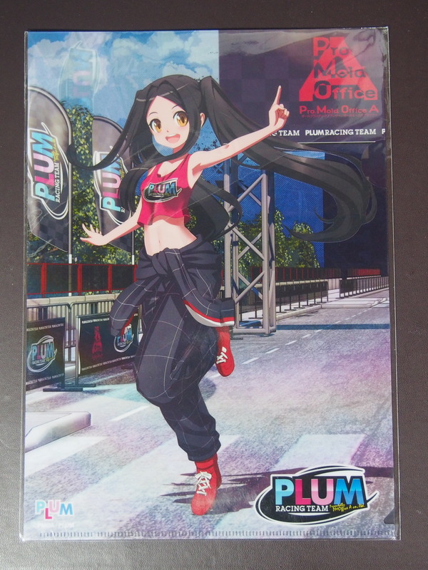 諏訪姫さまグッズ (10)