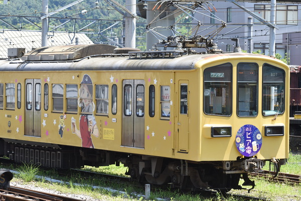 近江鉄道伊豆箱根鉄道コラボHM (8)