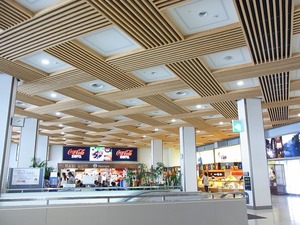 airport (4)