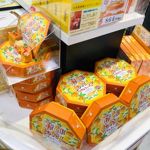 写真 2019-06-12 14 46 47