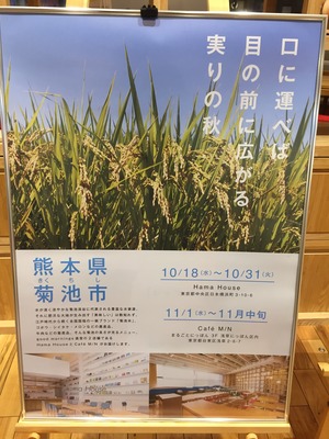 写真 2017-11-23 18 45 46