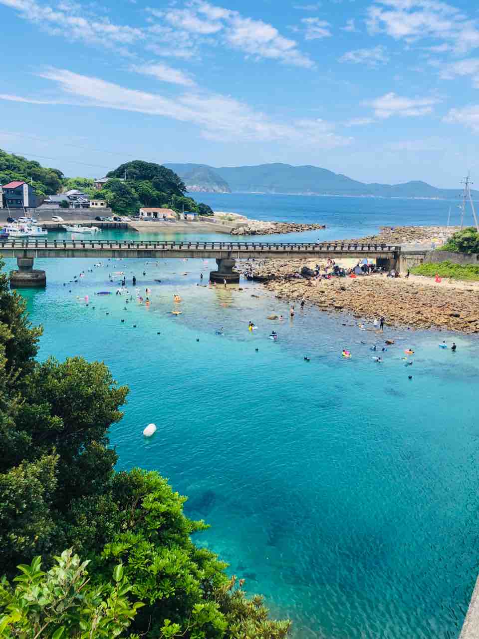 沖縄じゃないよ 高知だよ 裏ゆに 知らなかった いいねいいねー 沖縄じゃないよ 高知だよ 裏ゆに 知らなかった いいねいいねー