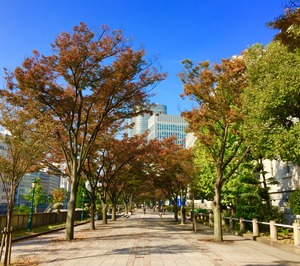 写真 2017-11-07 9 48 08