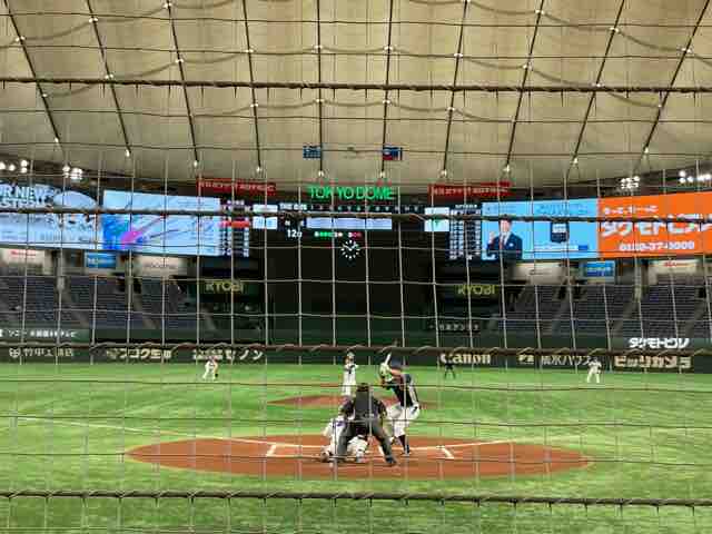 バックネット 裏 正面が クセになる ゆんろぐ