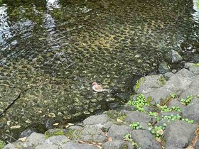 IMG_5577