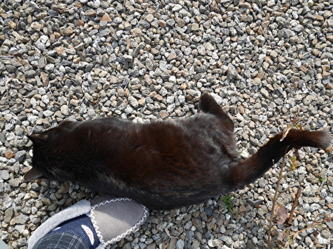 krmaMYwW4qtQ6TZ1582671265